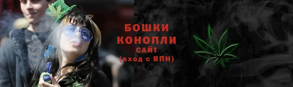 дурь Пересвет