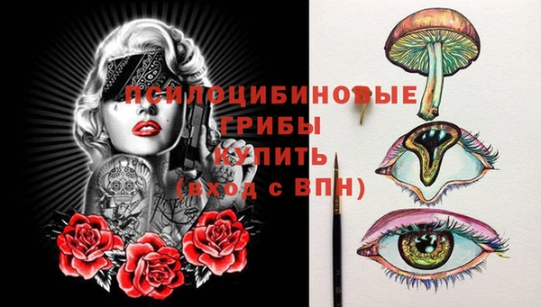 mdpv Гатчина