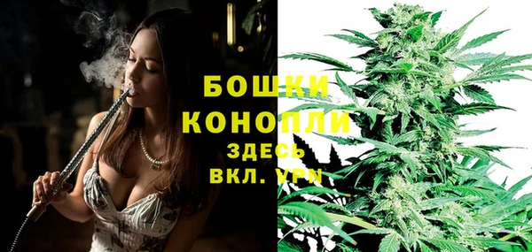 крисы Галич