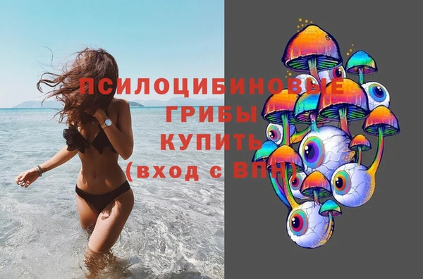 дурь Пересвет