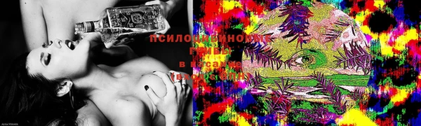 PSILOCYBIN Пестово