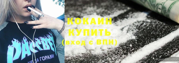 дурь Пересвет
