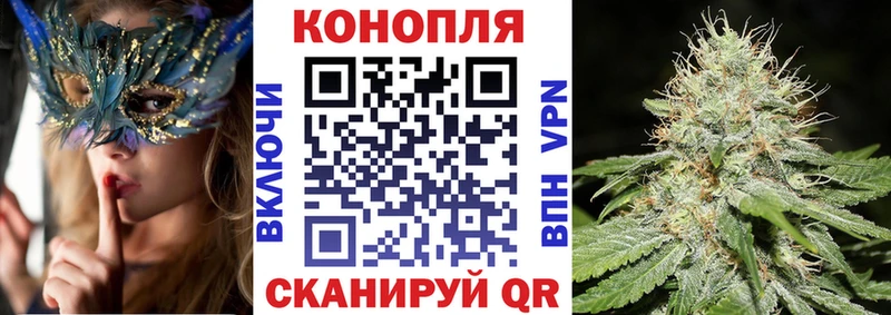 Бошки Шишки семена  наркошоп  Сорочинск 